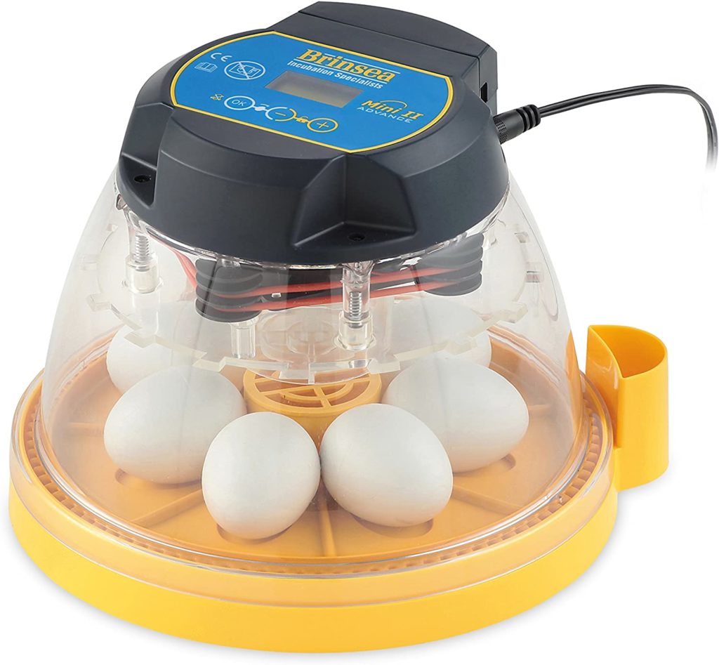Best chicken egg incubator