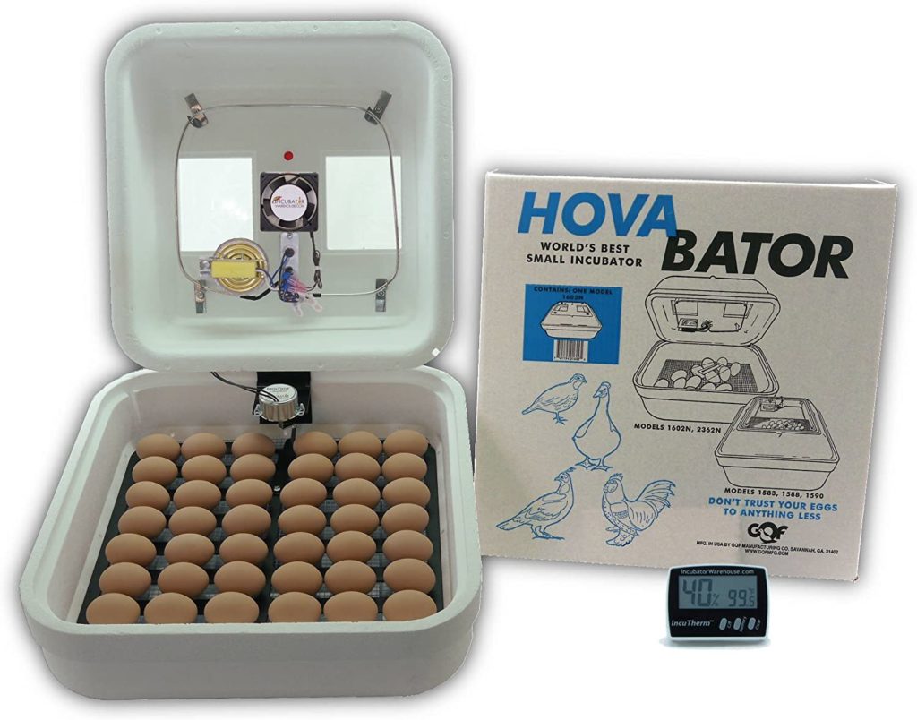 egg incubator combo kit