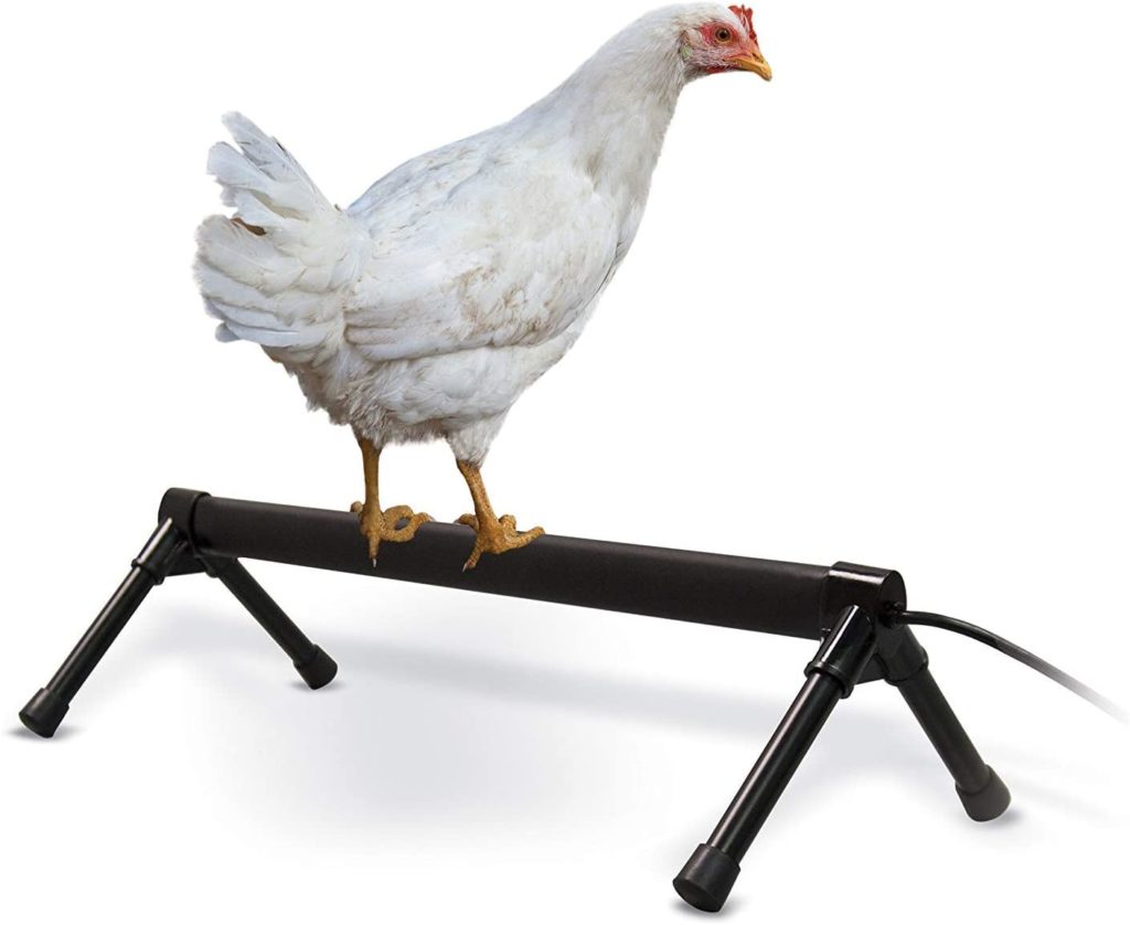Chicken Coop Heater