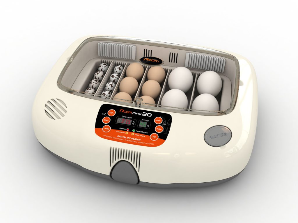 Best Automatic Egg Hatcher Incubator