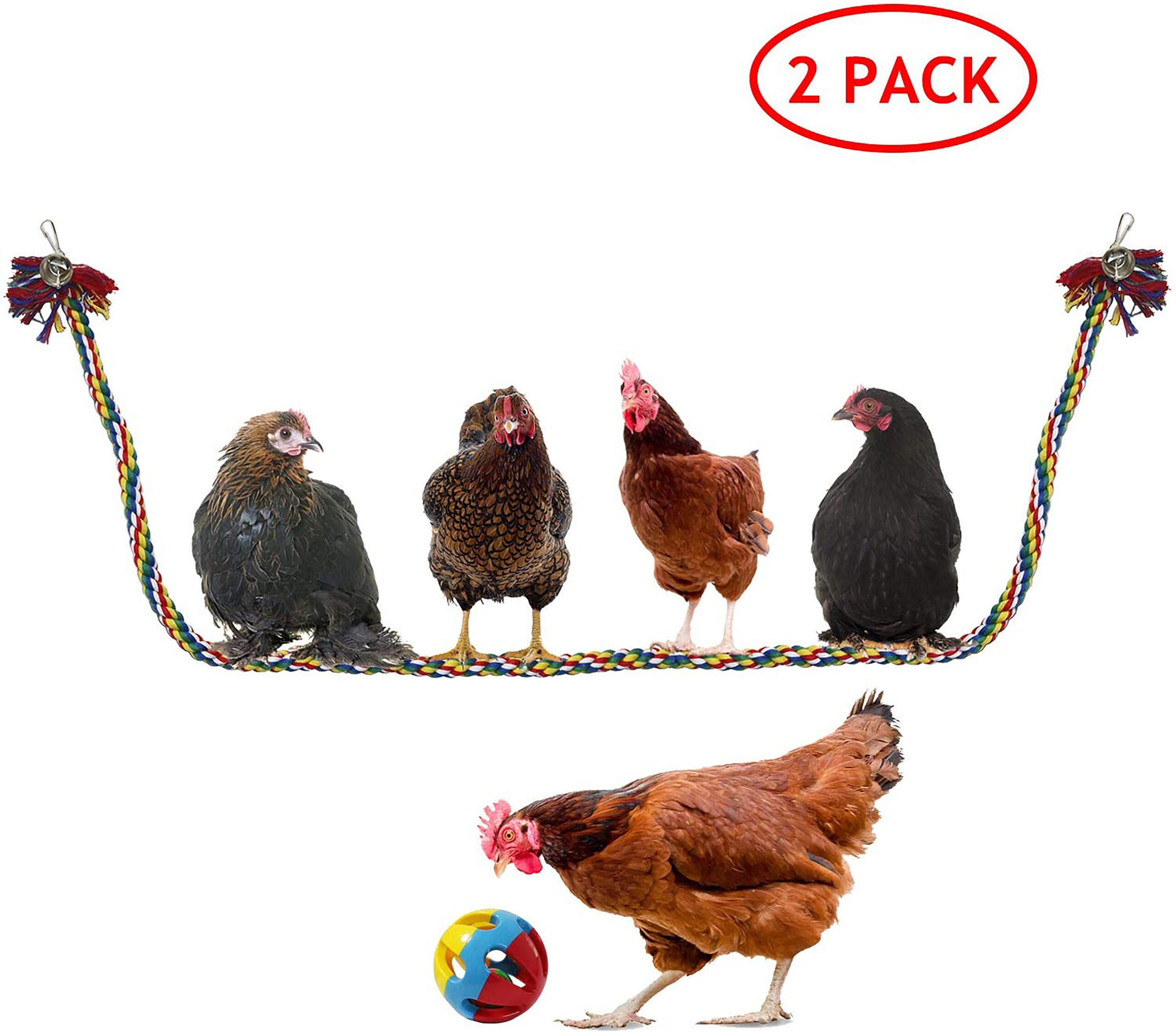 Chicken Hanging Swing Toy Chicken Swing Toy Wooden Colorful Chicken Chewing Toy Pet Training Hanging Toy MYYXGS Chicken Swing