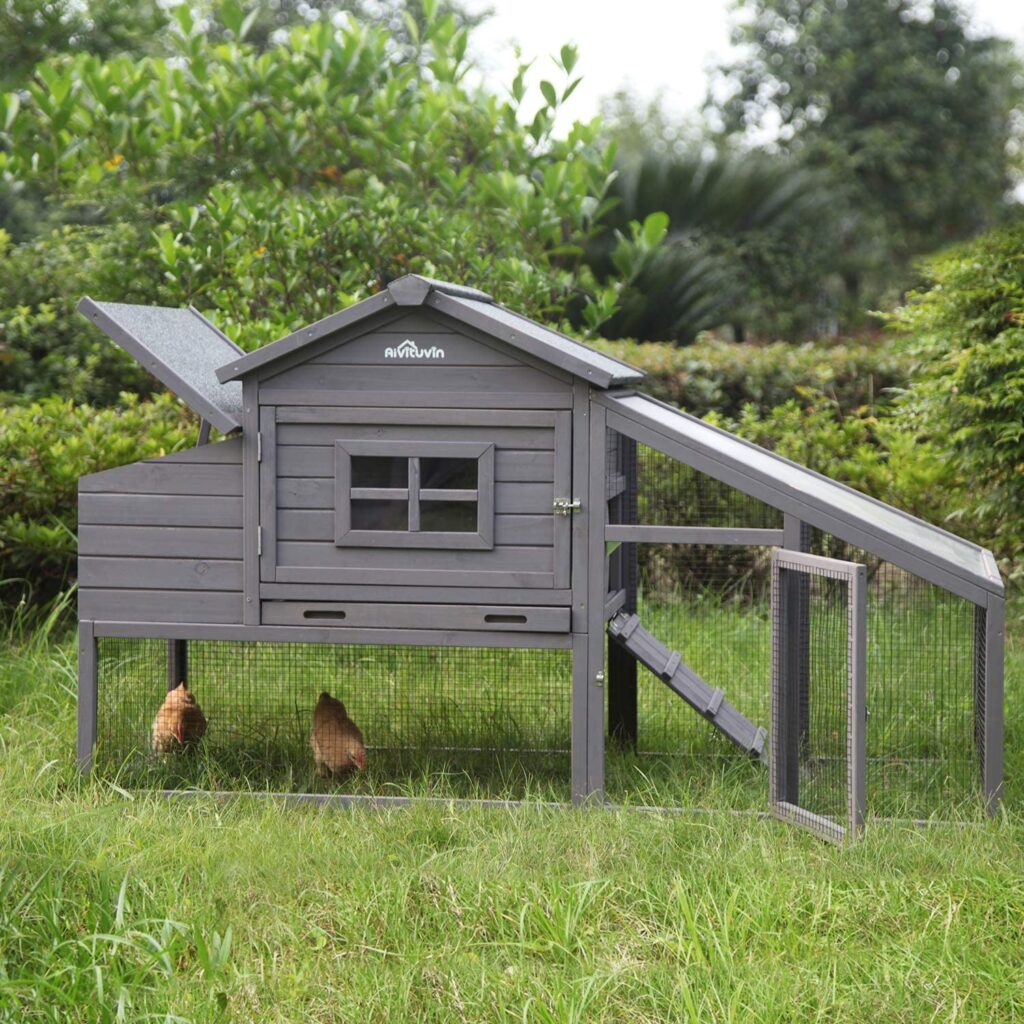 best disigne chicken coop