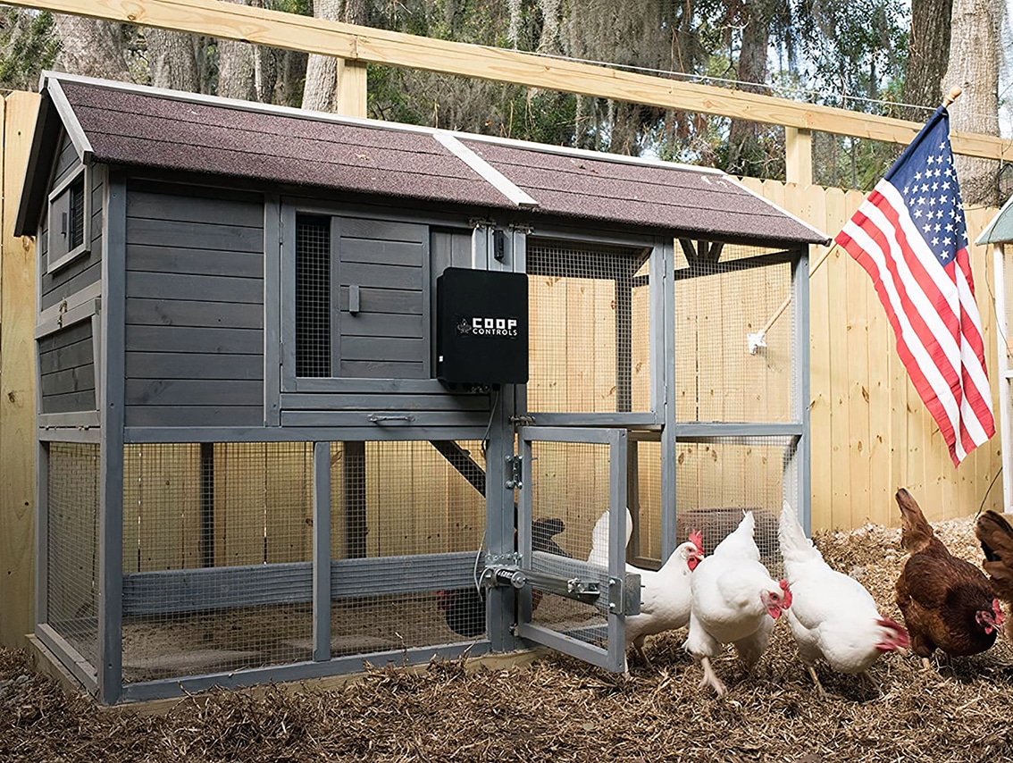 automatic coop door