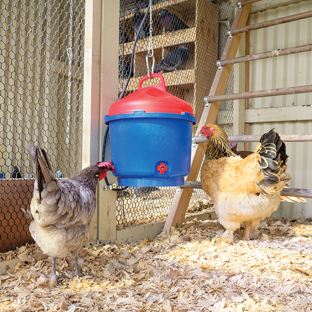 heated poultry waterer