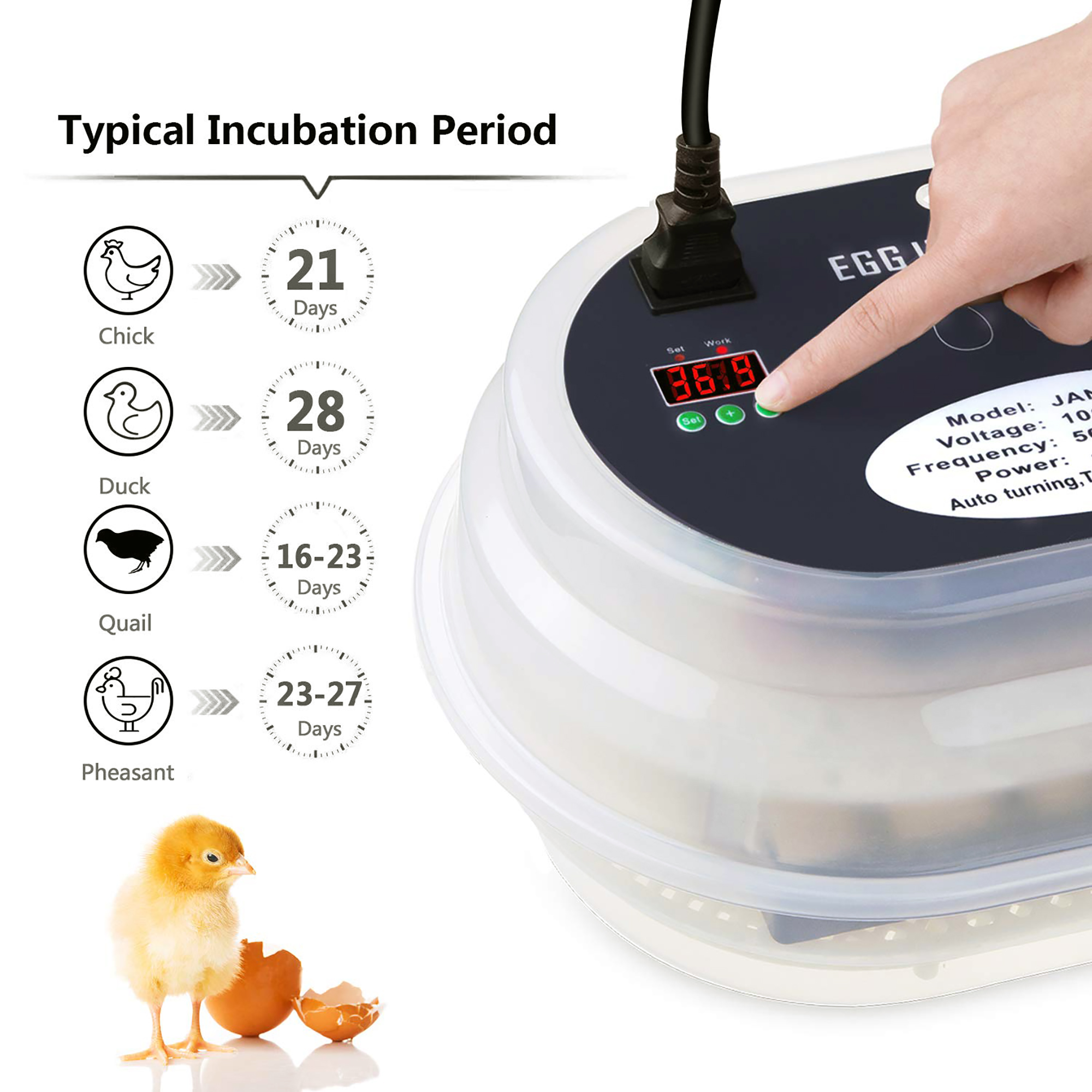 mini egg incubator