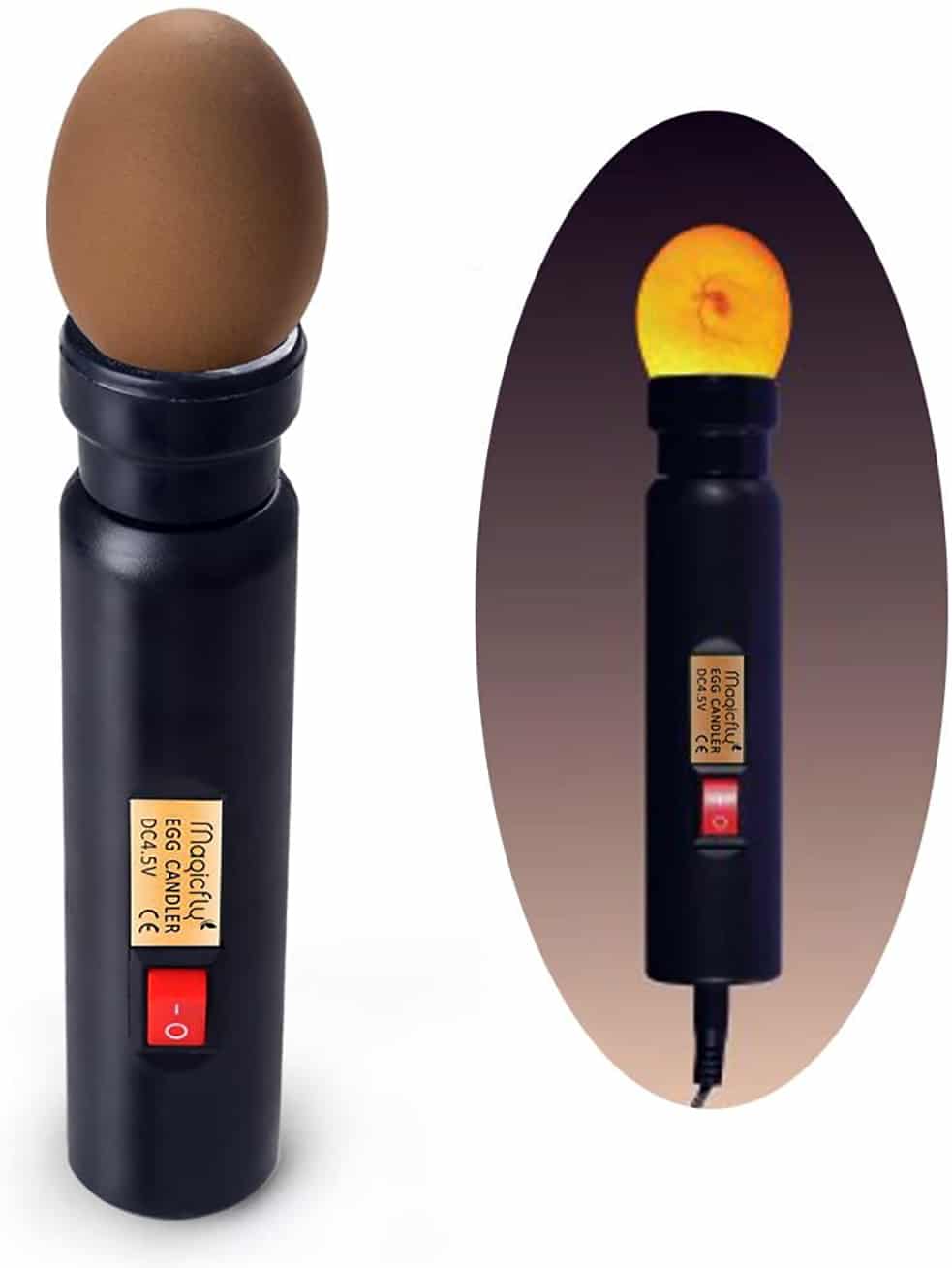 How to Use an Egg Candler Chicken Farmers Union