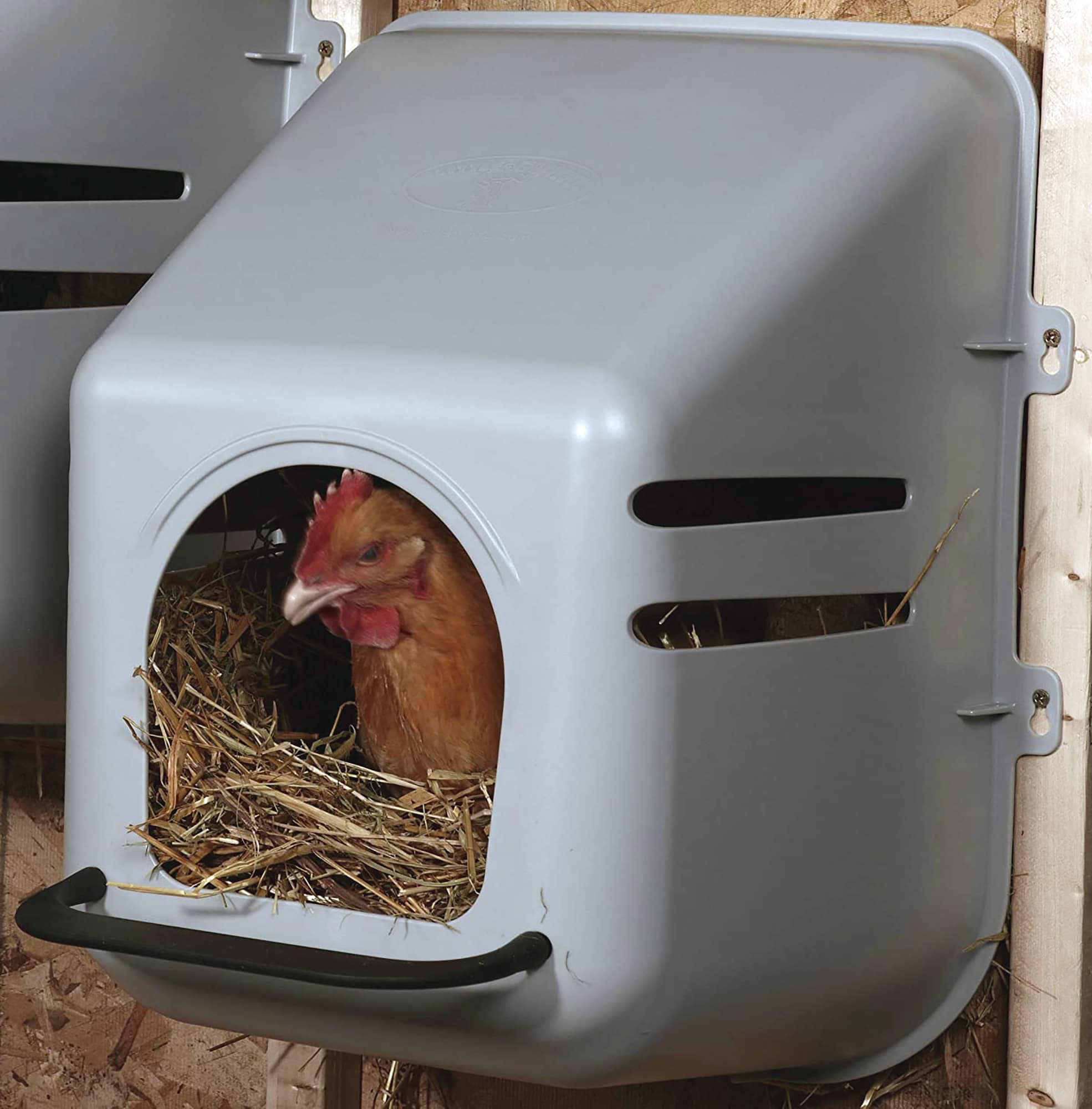 The BEST chicken NESTing BOXes [REVIEWs 2021]
