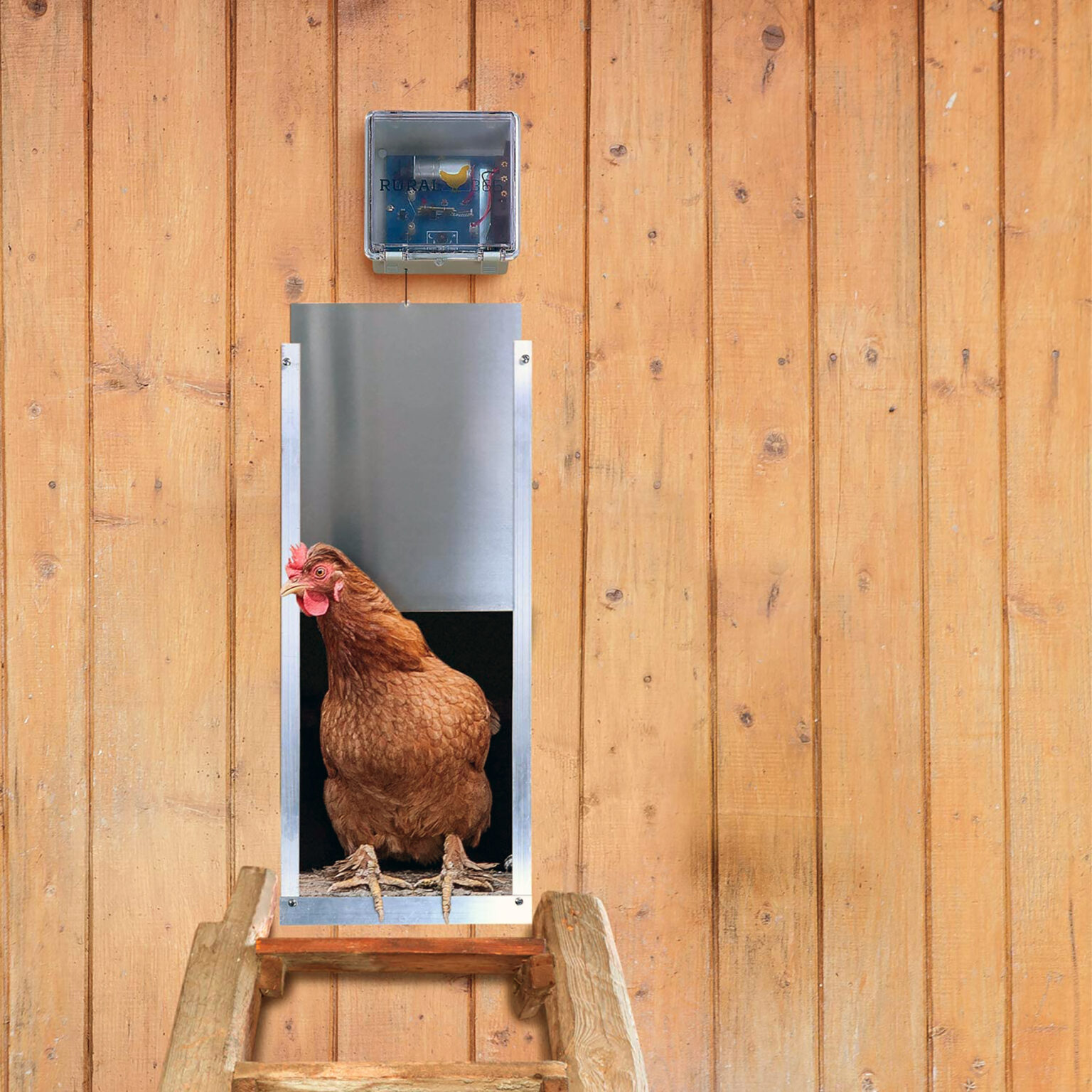 Best Automatic Chicken coop Door Chicken Farmers Union