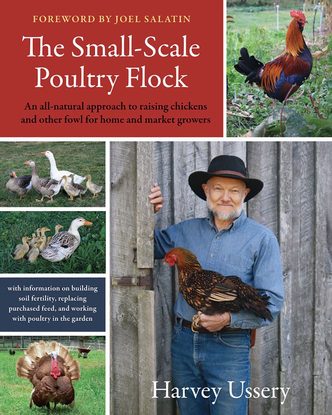 The Small-Scale Poultry Flock review