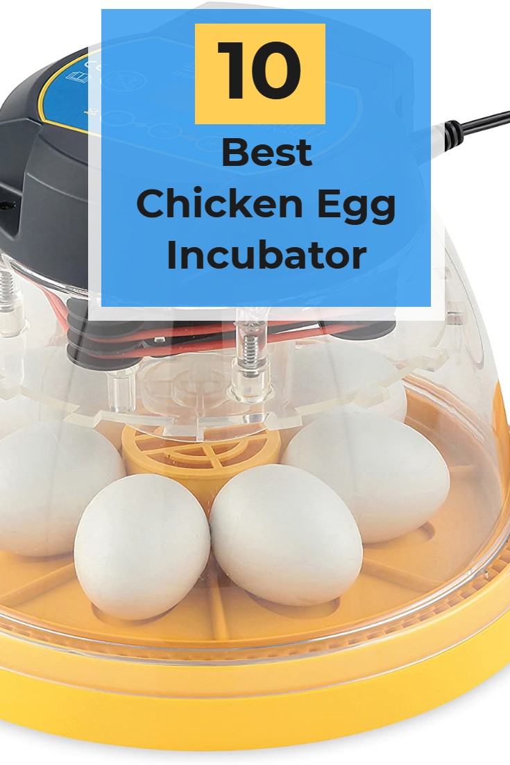 TOP EGG INCUBATORS