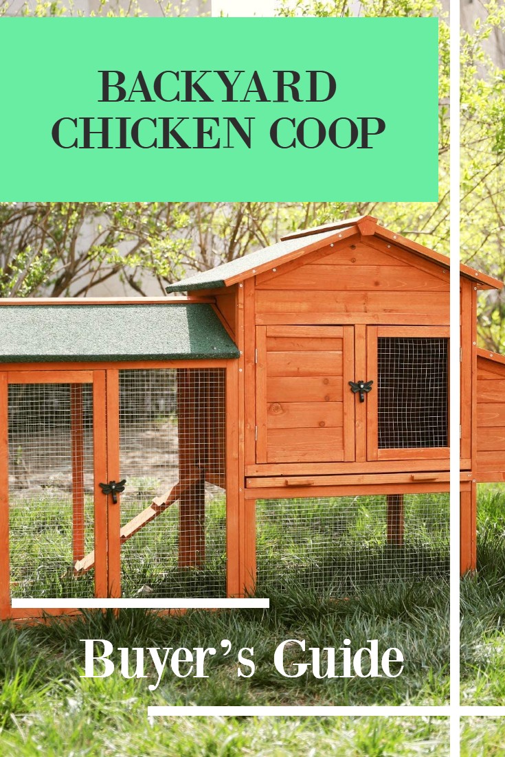 Chicken Coop Buyer’s Guide