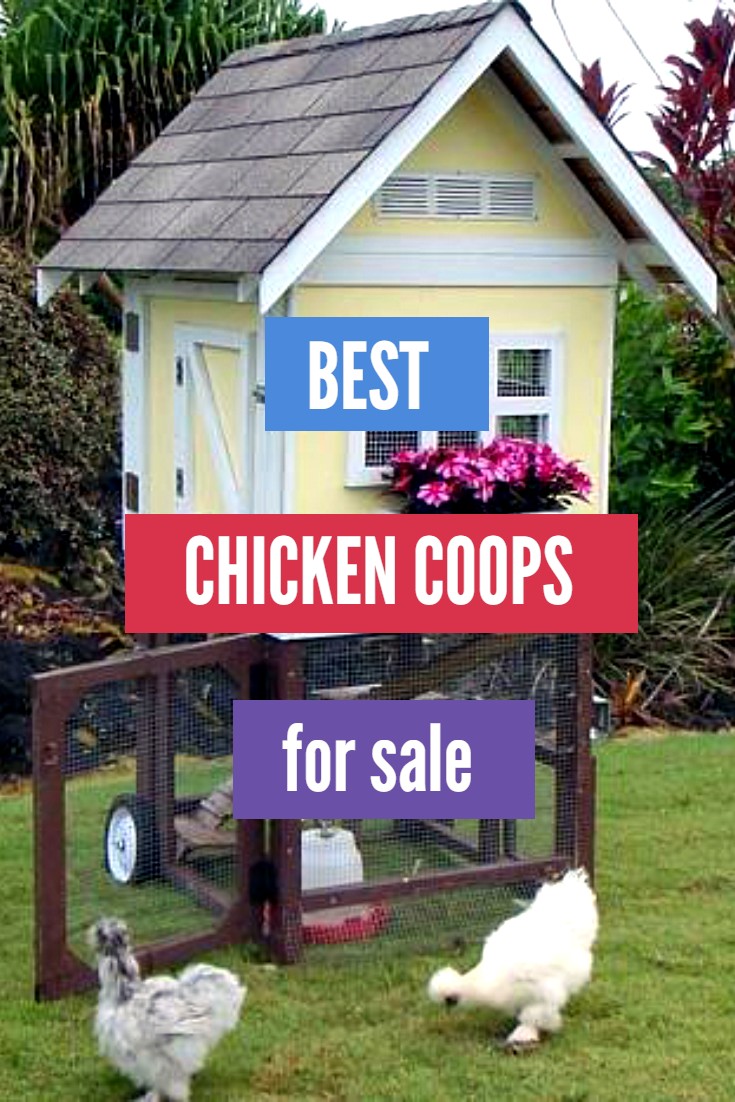COOPS FOR SALE