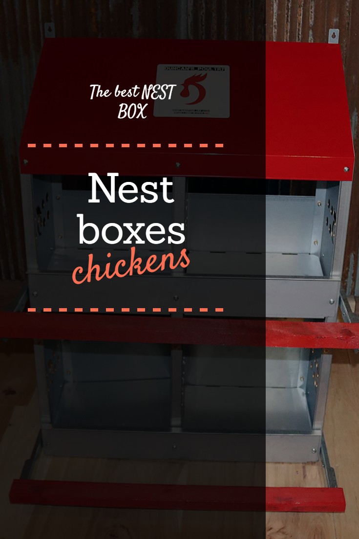 Best nest box