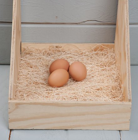 Duncans Poultry Excelsior Nest Pads  review