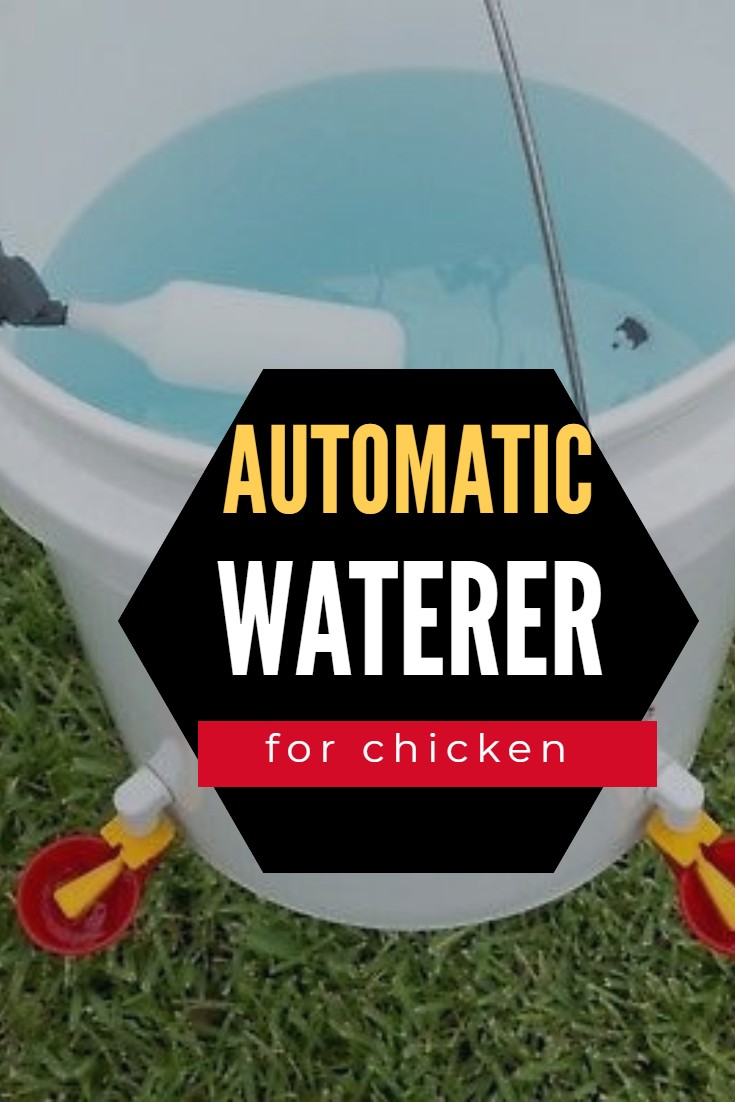 AUTOMATIC WATERER