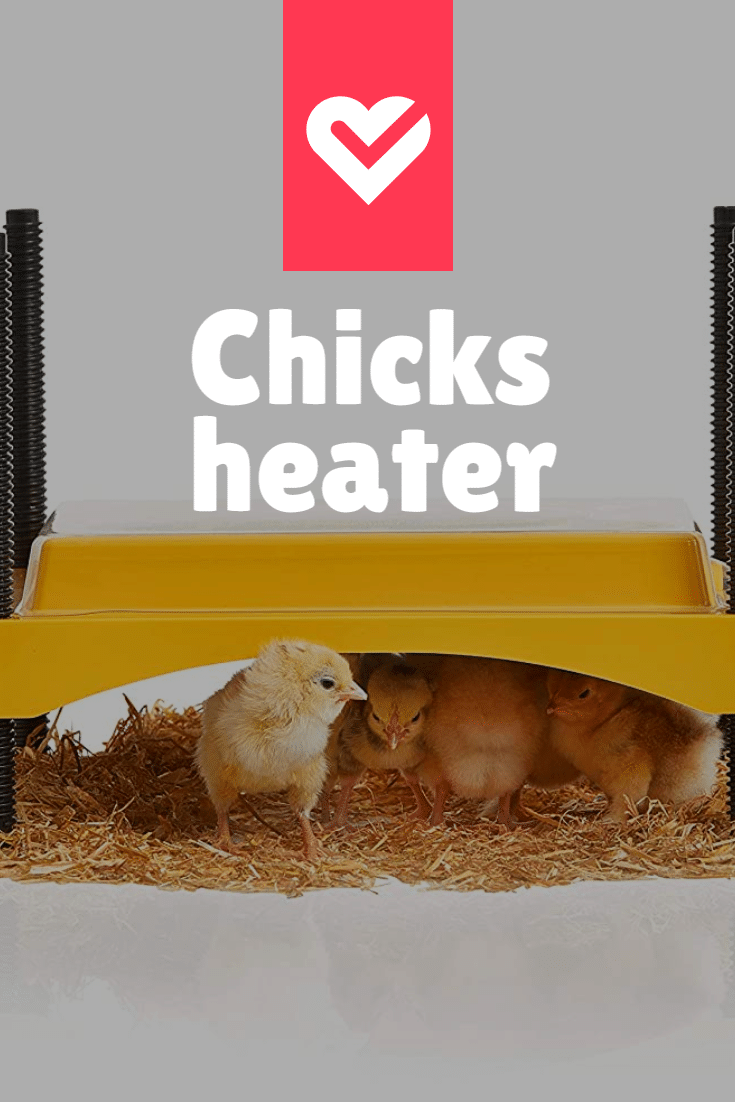 safely heat a chicken coop